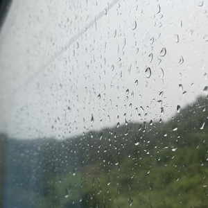 动漫美女裸体露胸无遮挡无马赛
